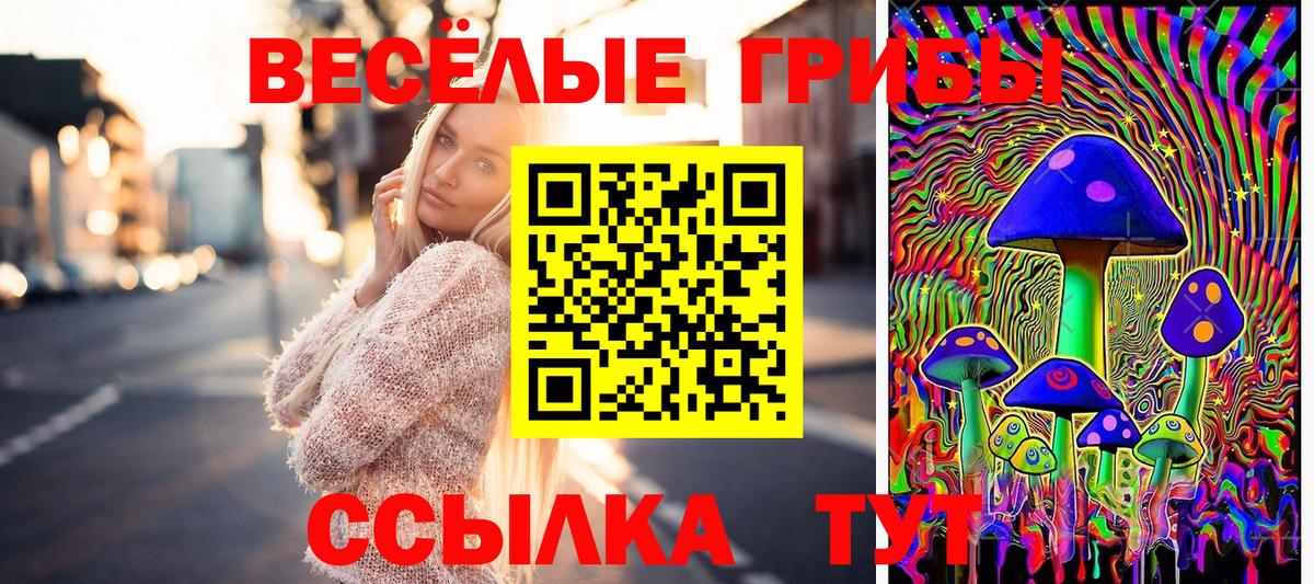 Усолье-Сибирское  Галлюциногенные грибы Psilocybine cubensis  как найти   Вход с VPN 