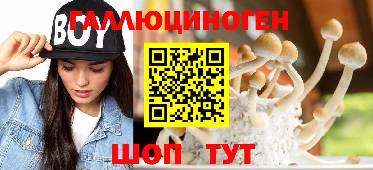 Галлюциногенные грибы GOLDEN TEACHER Усолье-Сибирское